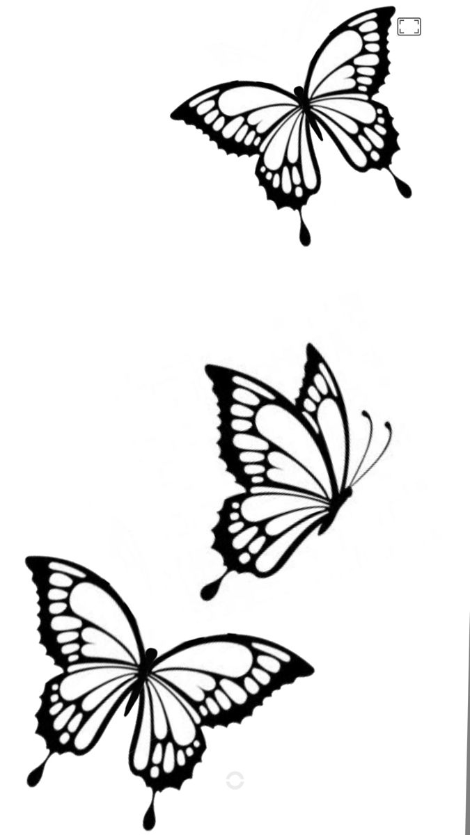 Butterfly Drawing Outline And Tattoo Stencil