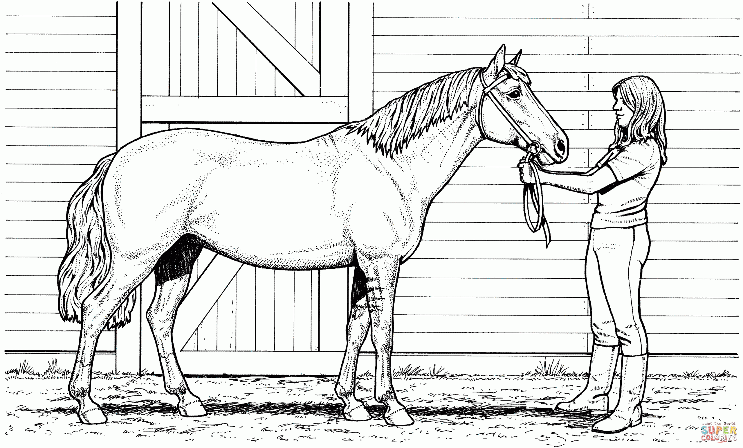 horse colouring pages printable