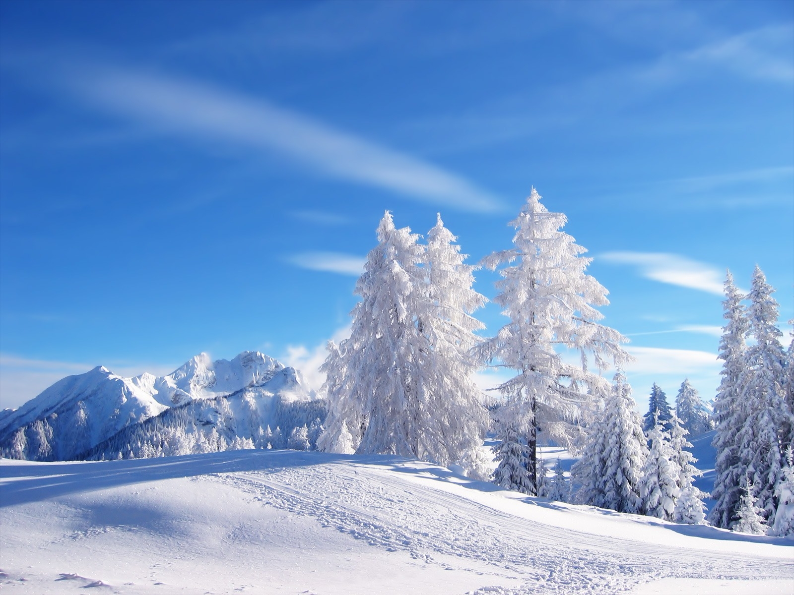 Wallpaper Winter The Sky Snow Mountains Tree For Mobile And Desktop Section Resolution 1600x1200 Download