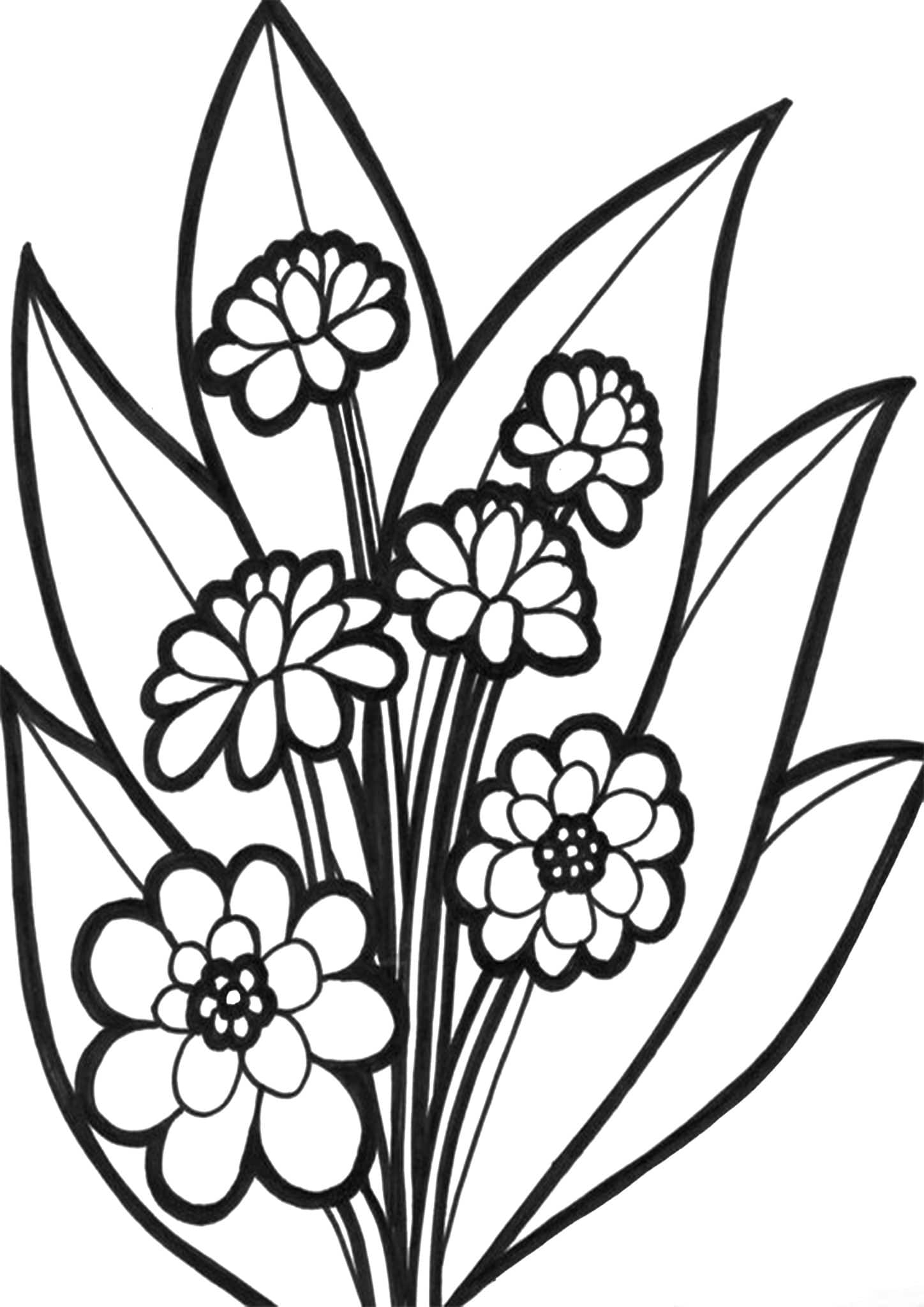 printable flower coloring pages
