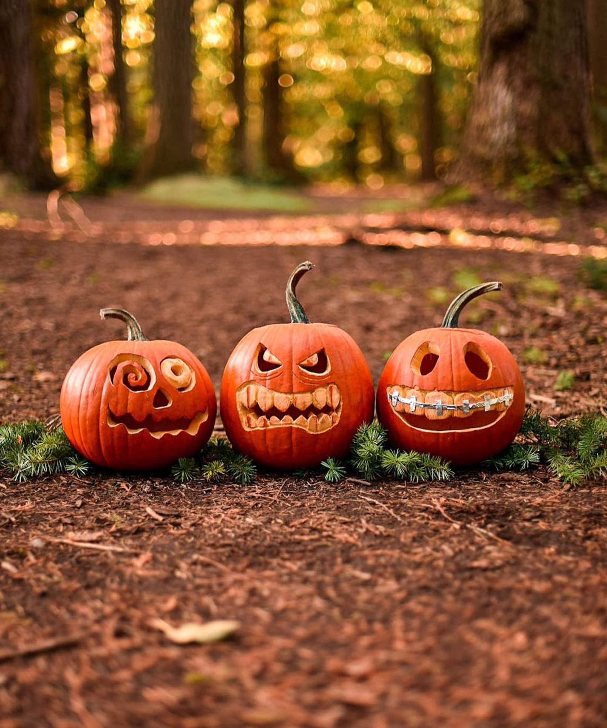 10 Pumpkin Carving Ideas Pretty And Peculiar Designs For Halloween Real Homes