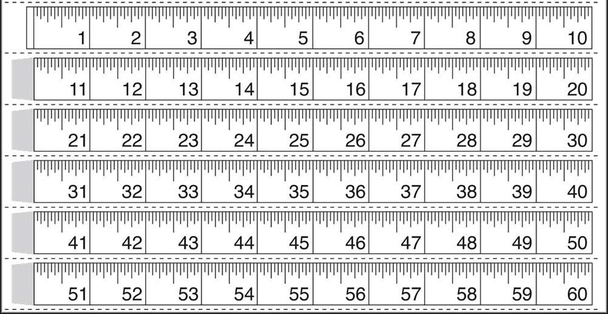 10 Sets Of Free Printable Rulers When You Need One Fast Worksheets Library