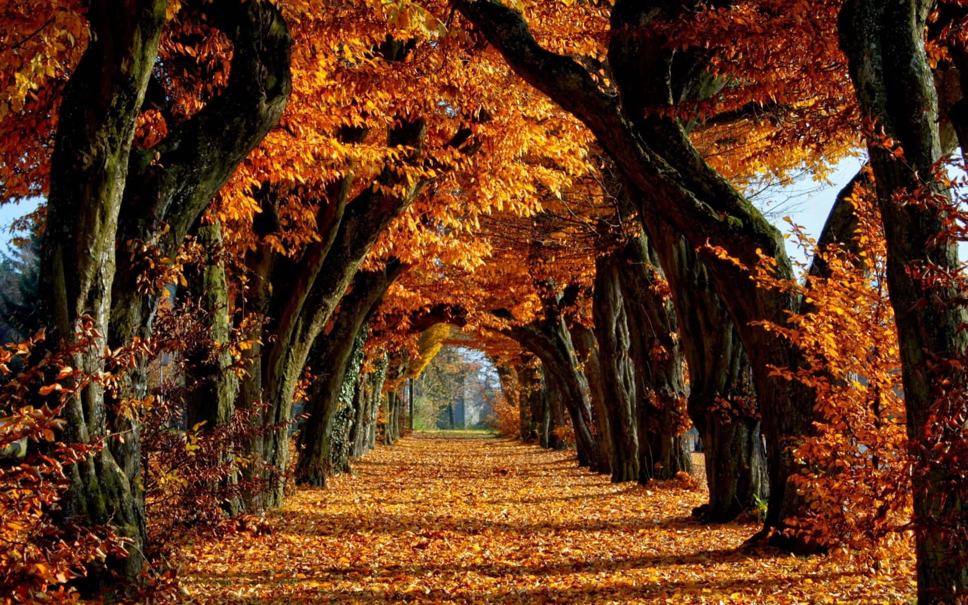 fall desktop wallpaper hd fall desktop wallpaper hd