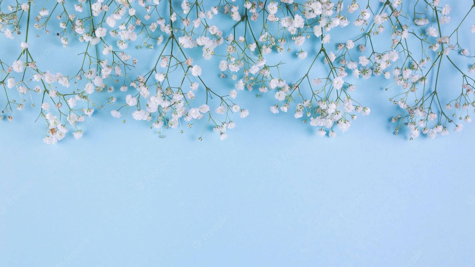 100 Cute Light Blue Wallpapers Wallpapers 100 Cute Light Blue Wallpapers Wallpapers