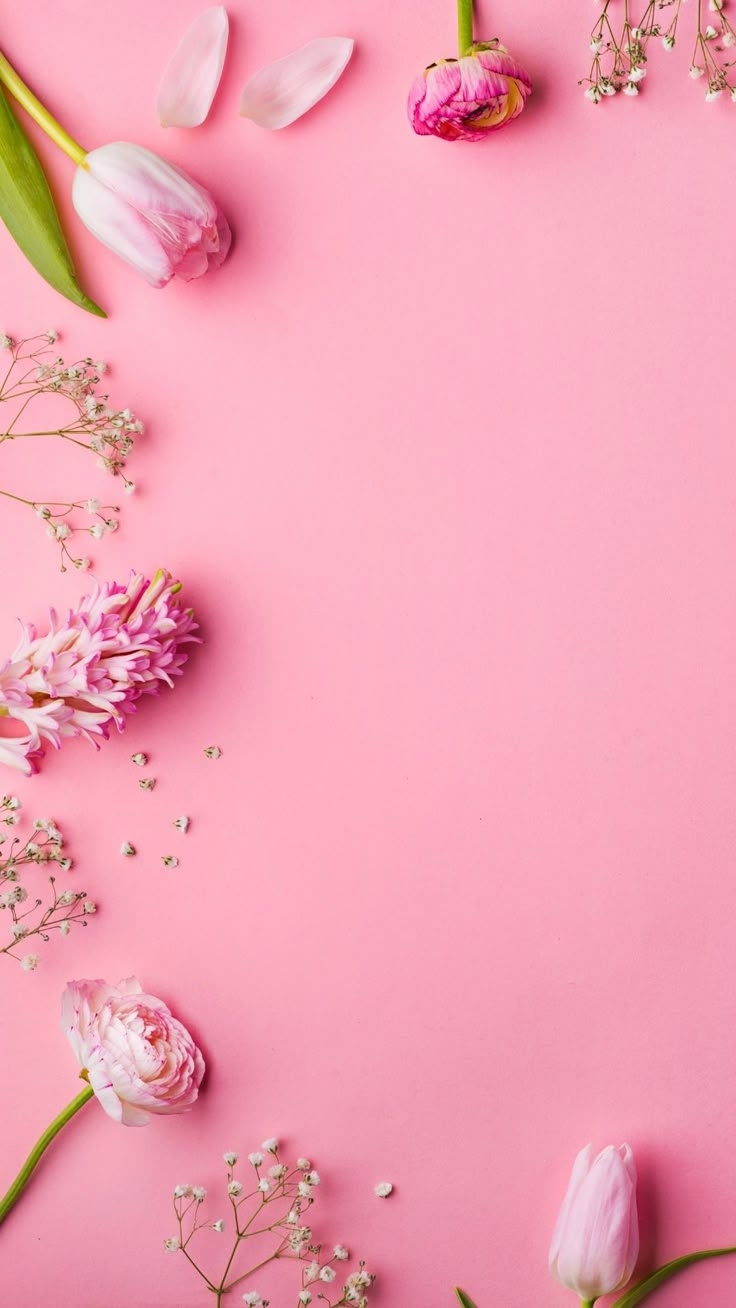 100 Pretty Pink Wallpapers For Phone The XO Factor