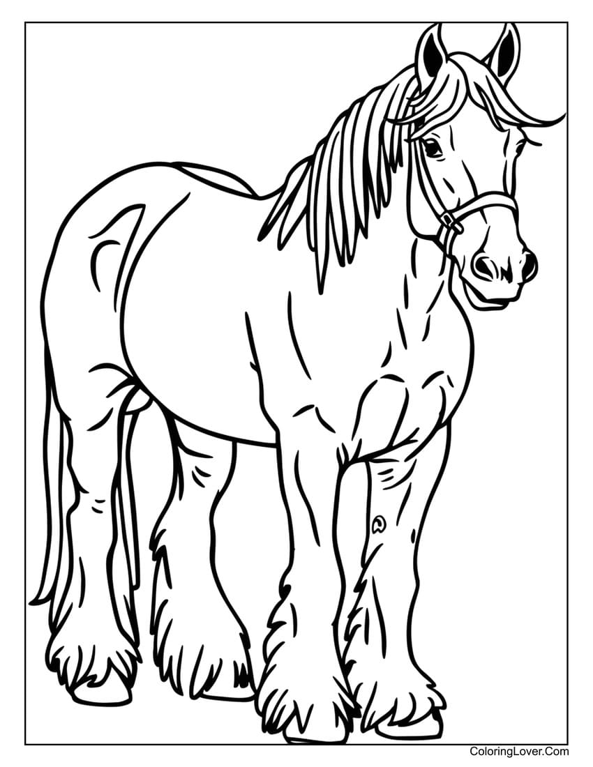 horse colouring pictures printable