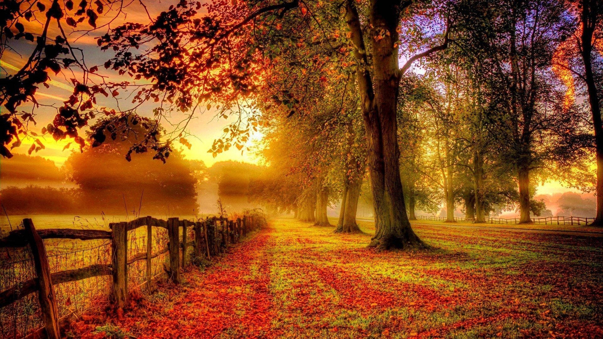 images of fall wallpaper