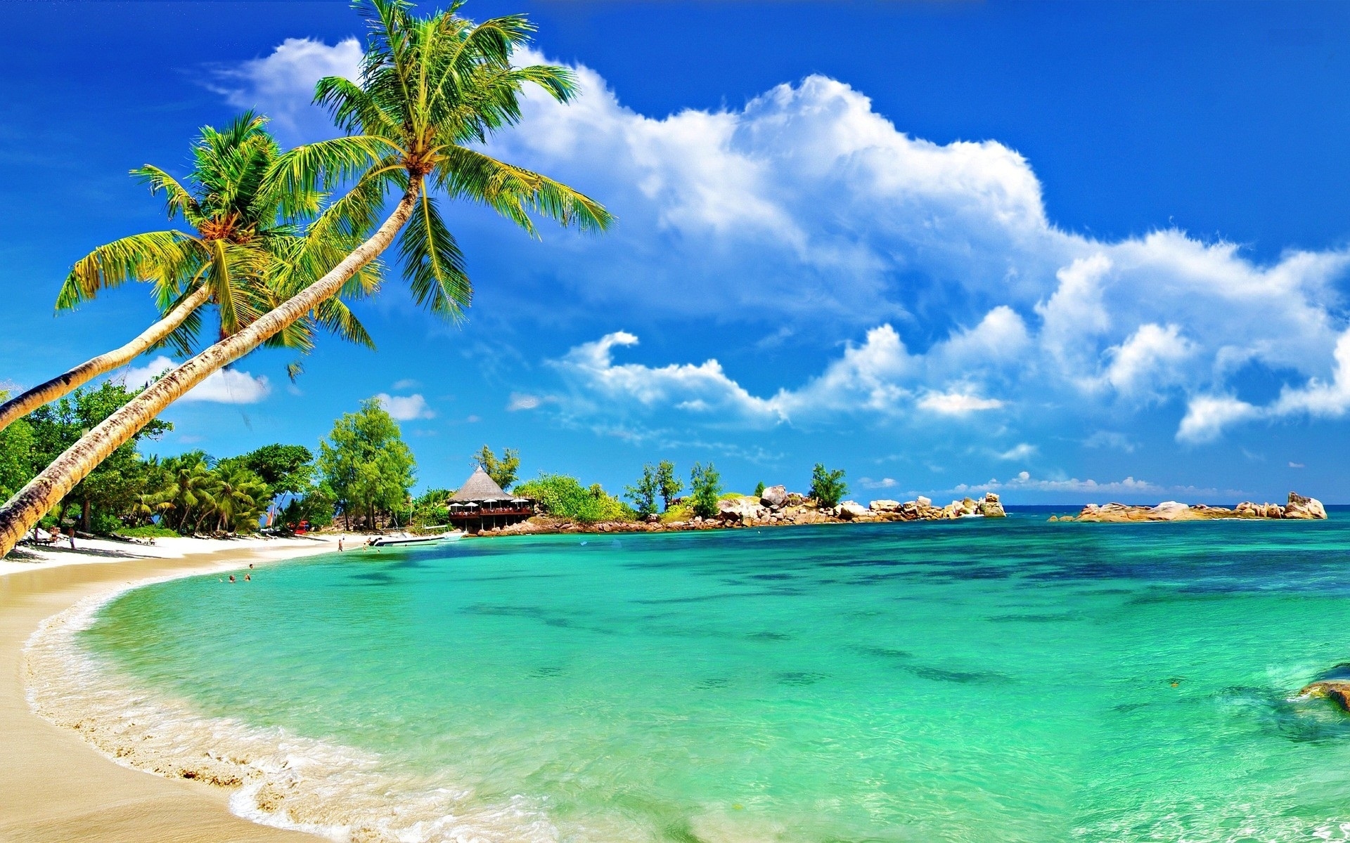 120 Tropical Beach Desktop Backgrounds WallpaperSafari 120 Tropical Beach Desktop Backgrounds WallpaperSafari