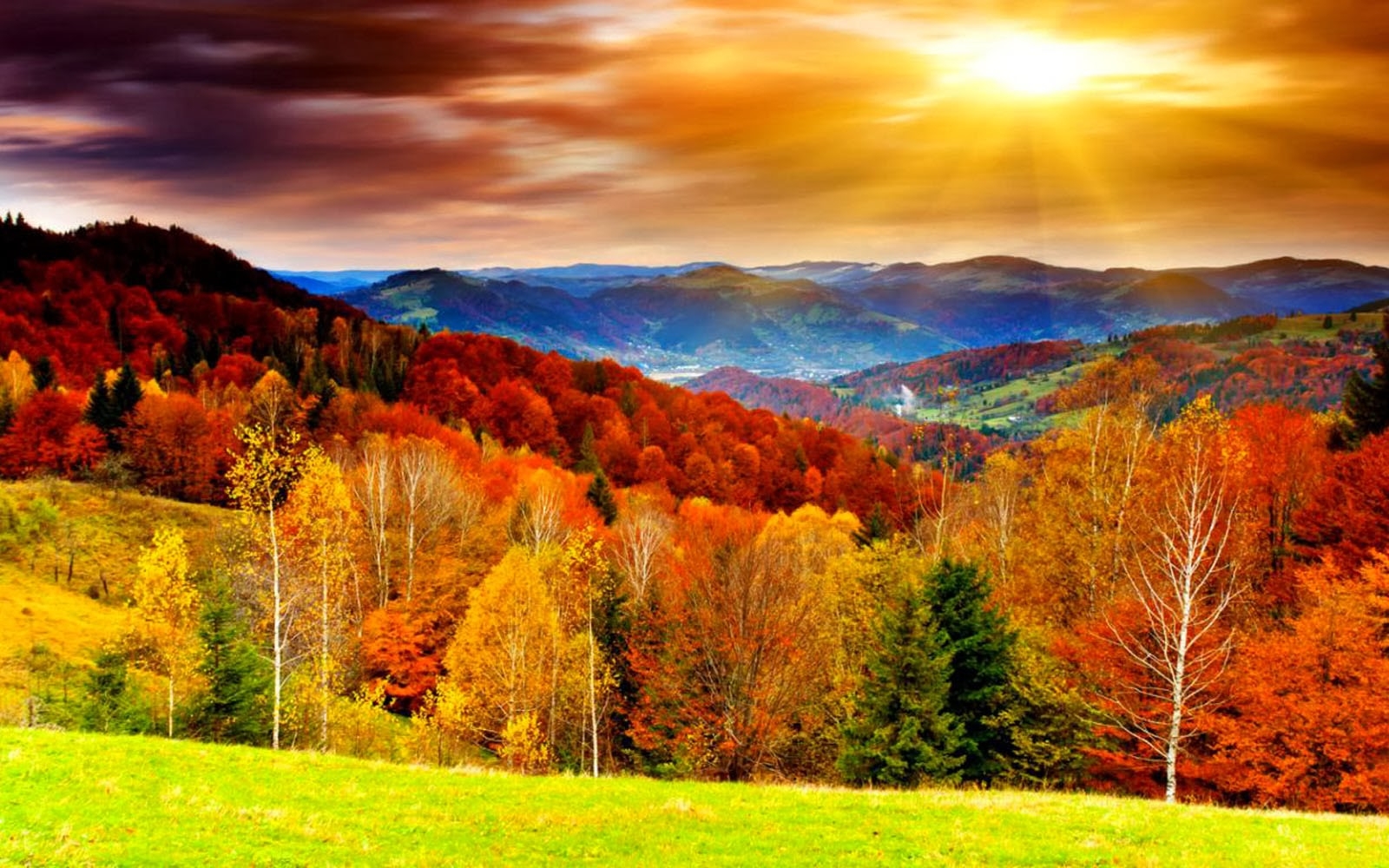  130 Free Autumn Desktop Wallpapers Pictures WallpaperSafari