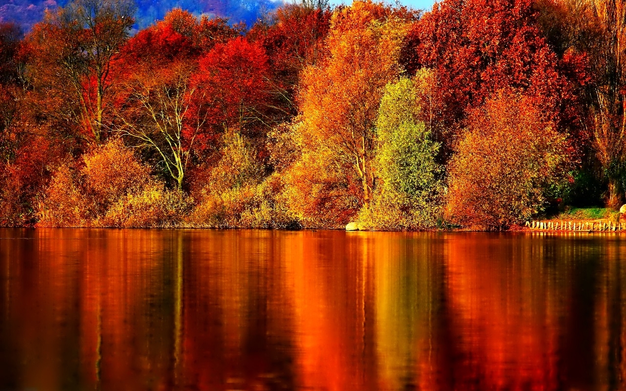  140 Fall Pictures For Wallpapers WallpaperSafari