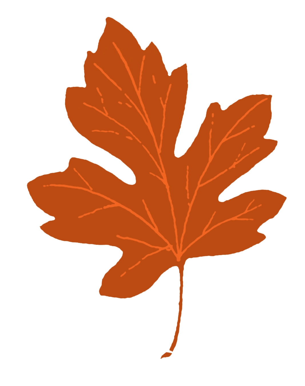 15 Maple Leaf Clipart The Graphics Fairy 15 Maple Leaf Clipart The Graphics Fairy