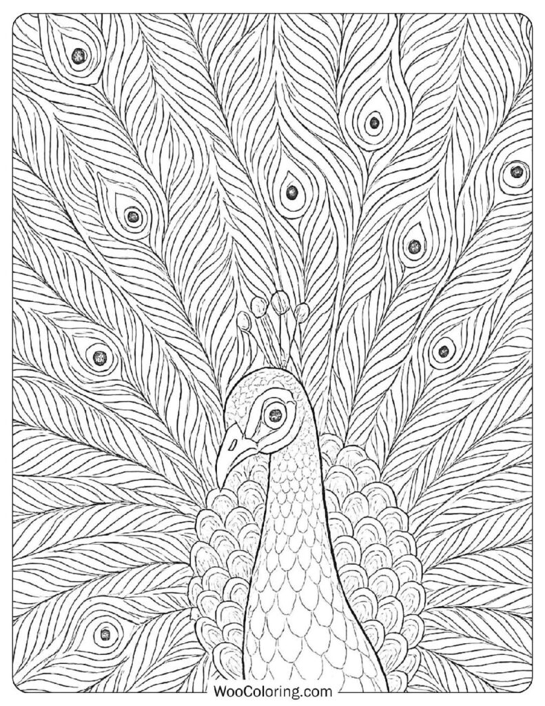 free printable coloring pages for adults advanced