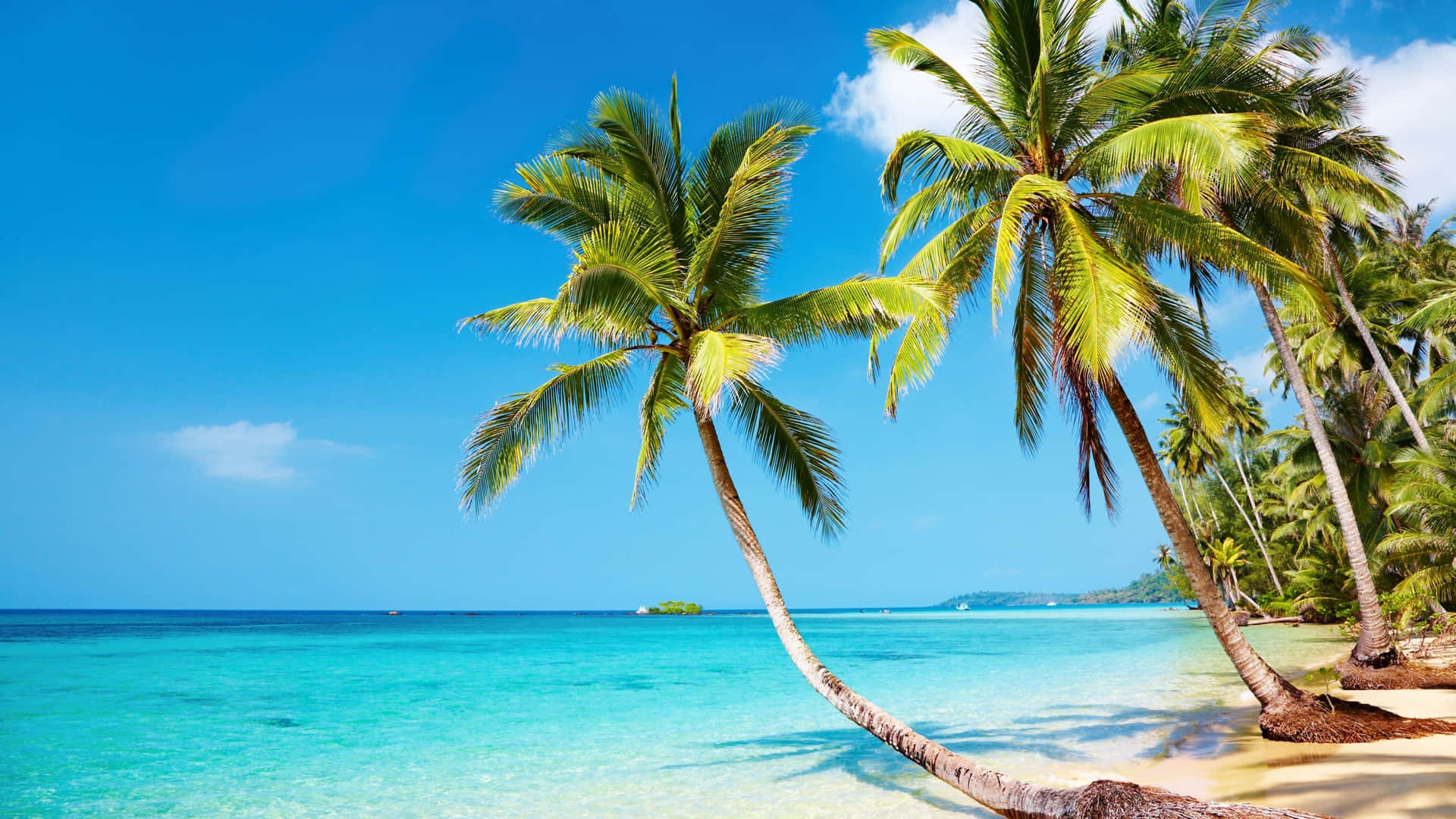 300 Tropical Beach Backgrounds Wallpapers 300 Tropical Beach Backgrounds Wallpapers