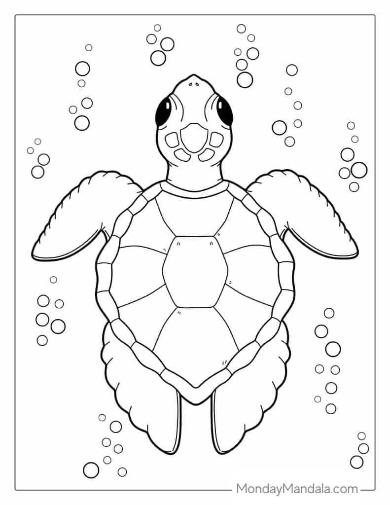 39 Turtle Coloring Pages Free PDF Printables 39 Turtle Coloring Pages Free PDF Printables