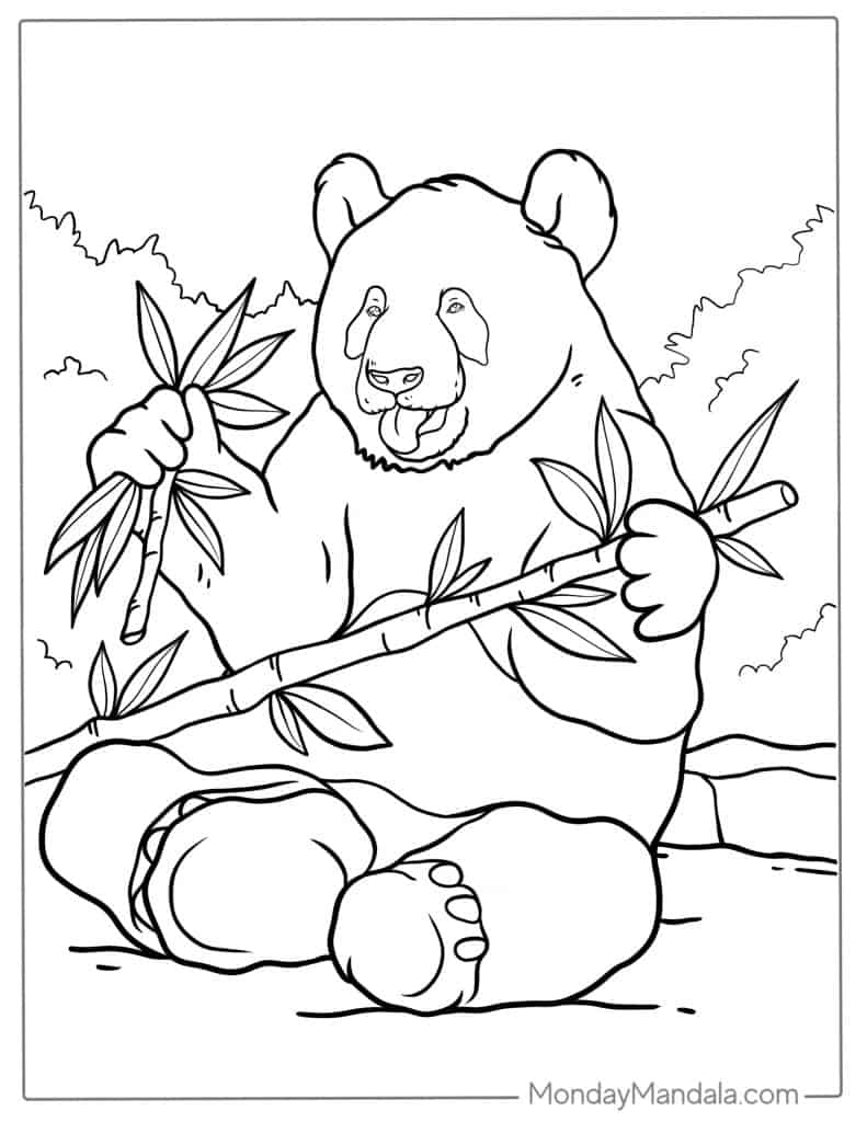 panda bear coloring sheets panda bear coloring sheets