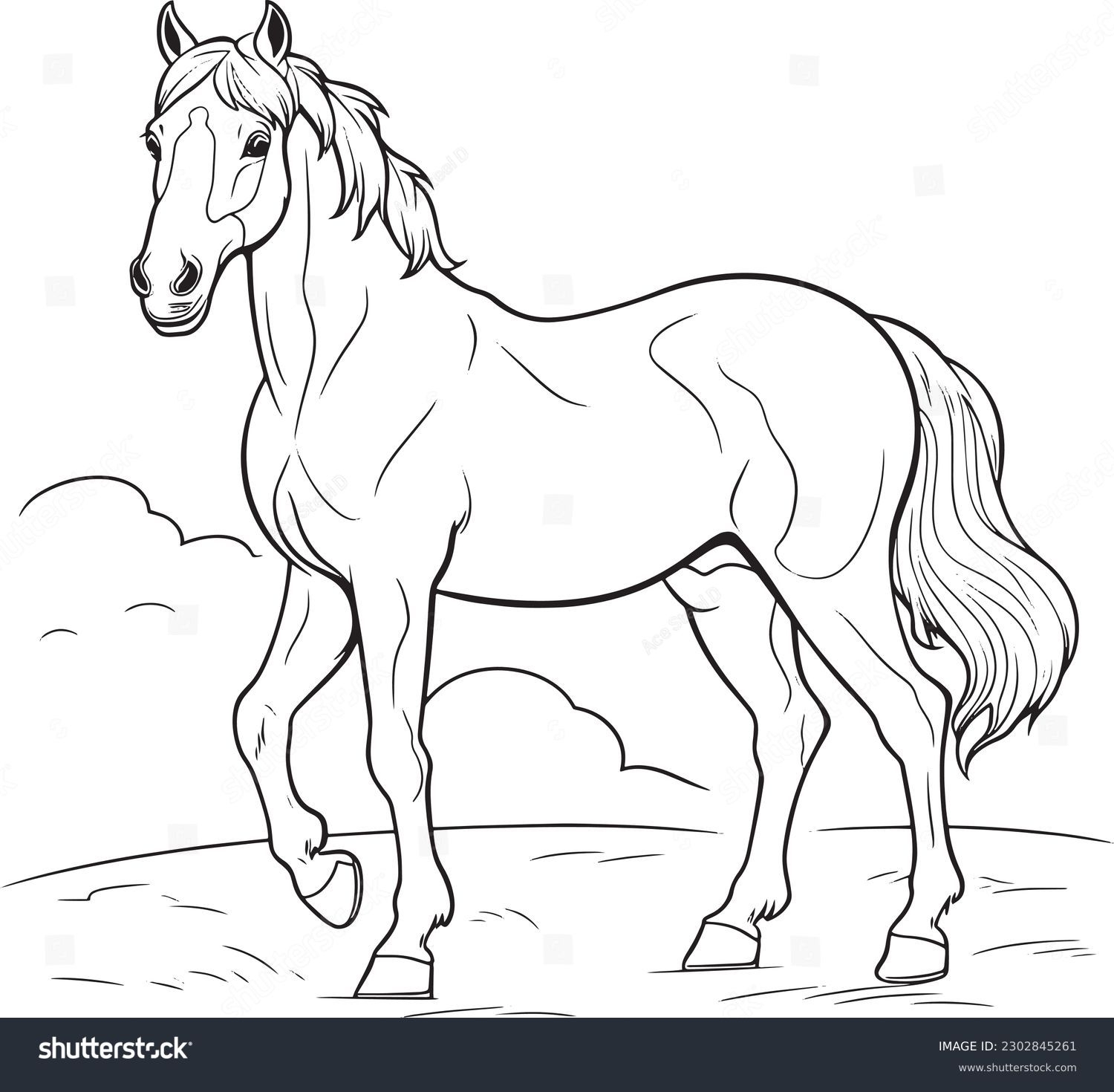 Pictures To Color Of Horses