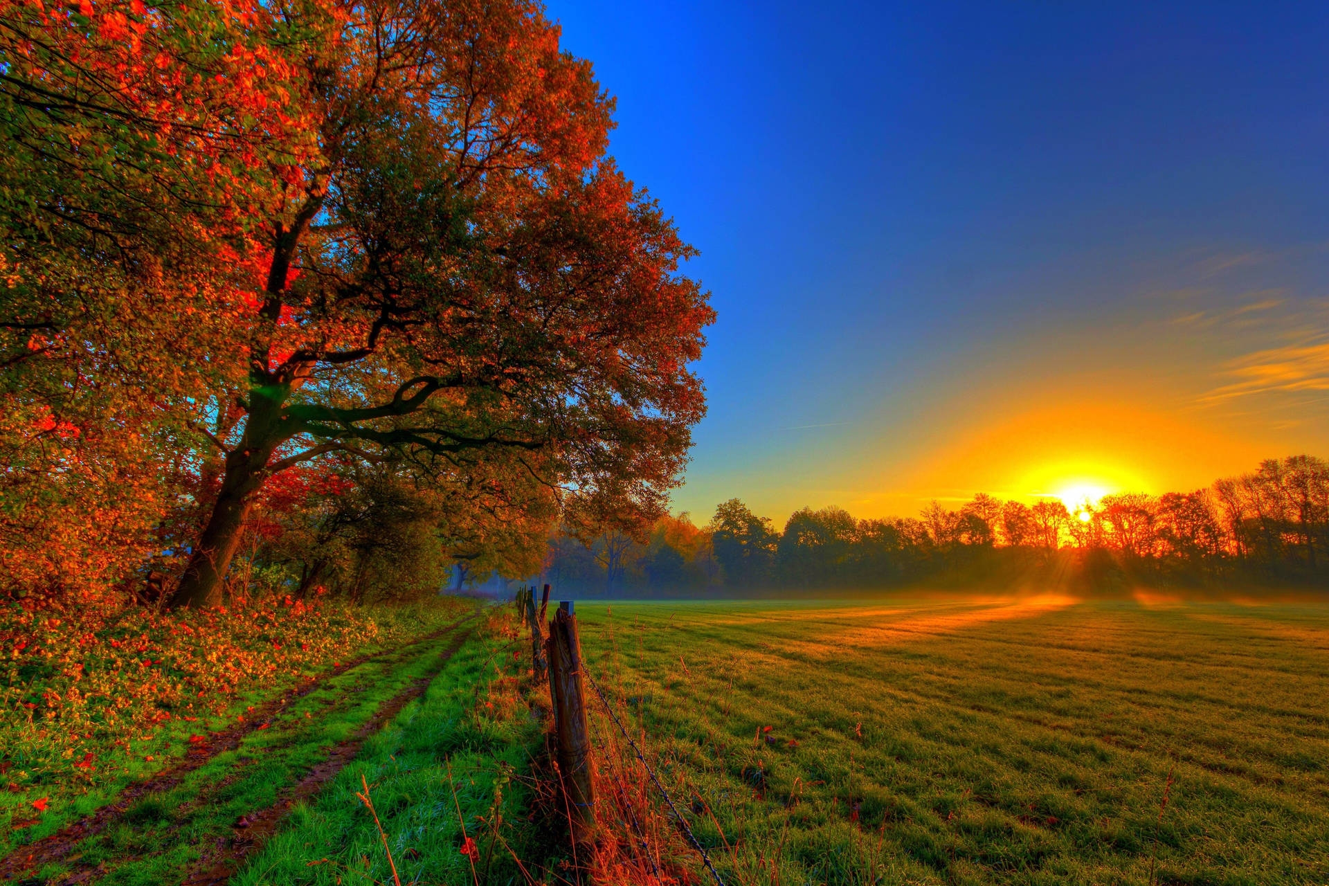 500 Fall Wallpapers Wallpapers