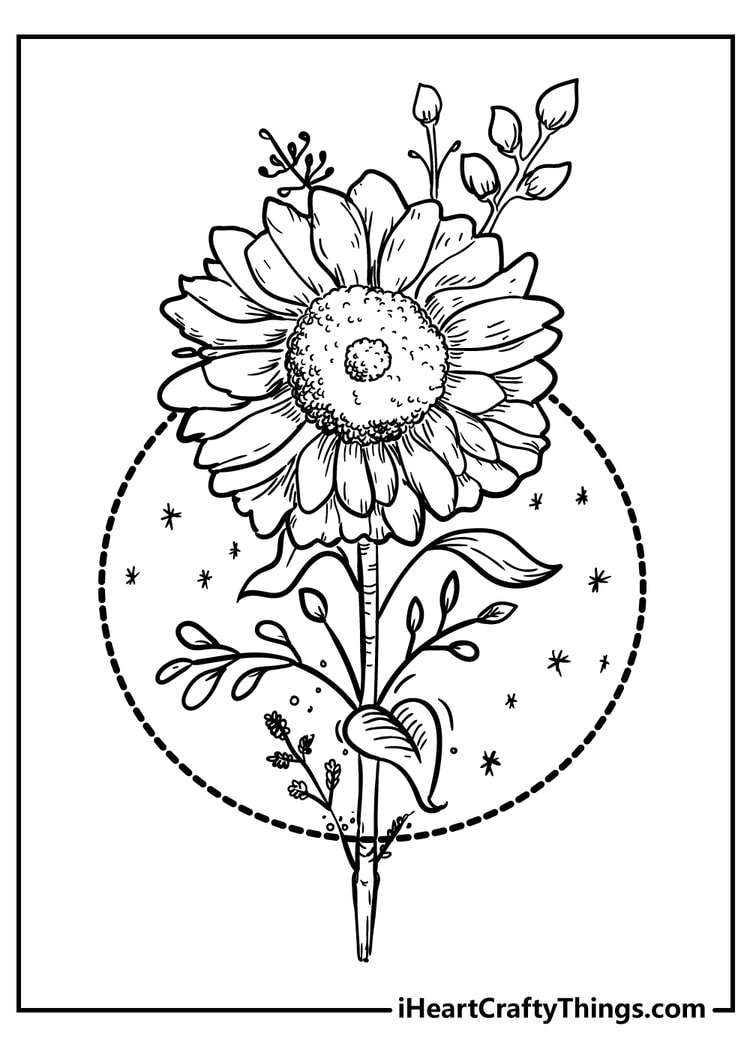 coloring pages flowers adults