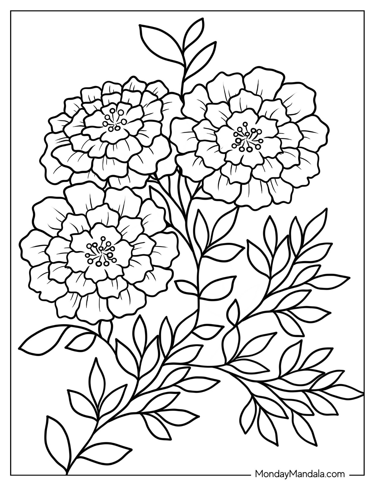 free coloring pages of flowers to print free coloring pages of flowers to print