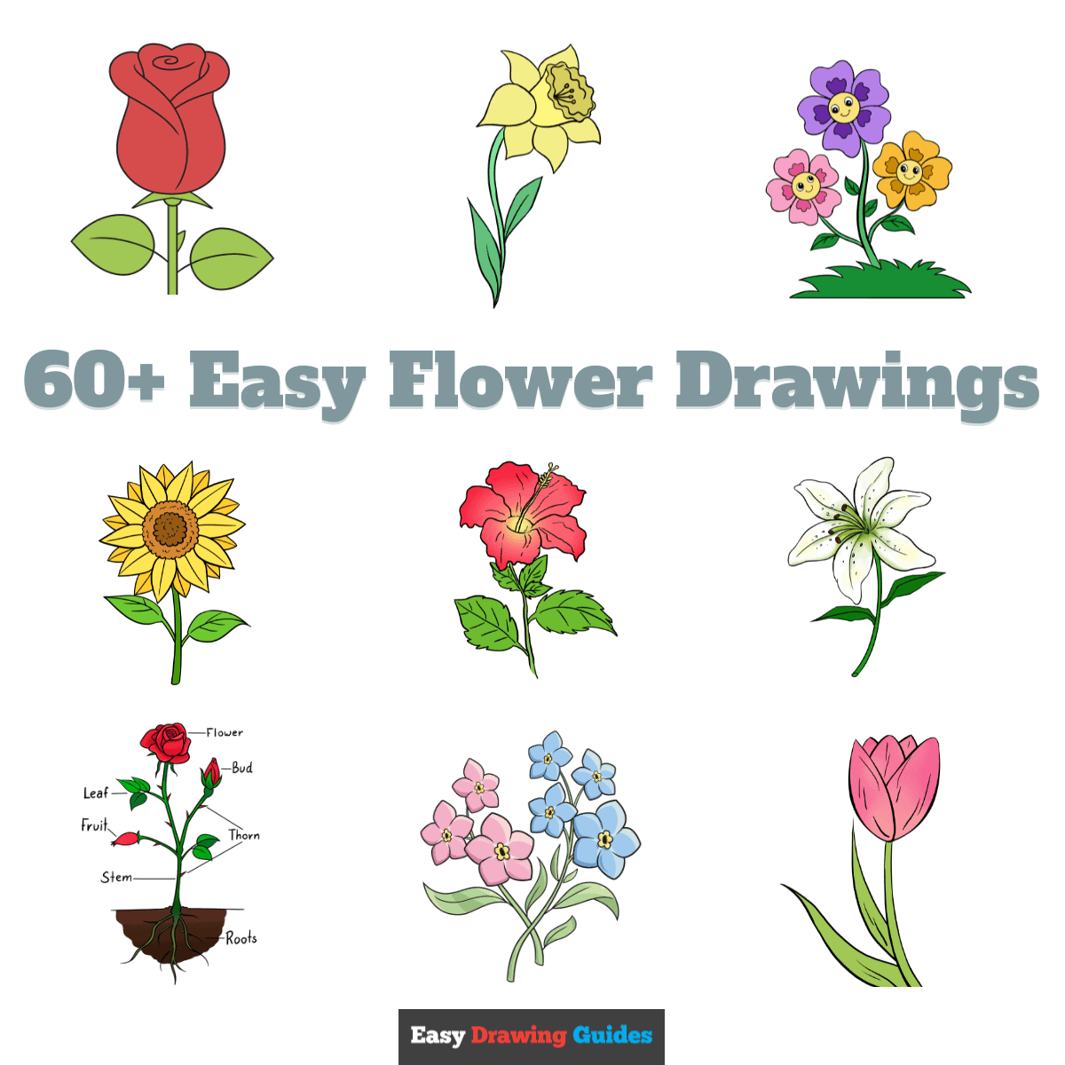 60 Easy Flower Drawings With Step by Step Tutorials 60 Easy Flower Drawings With Step by Step Tutorials