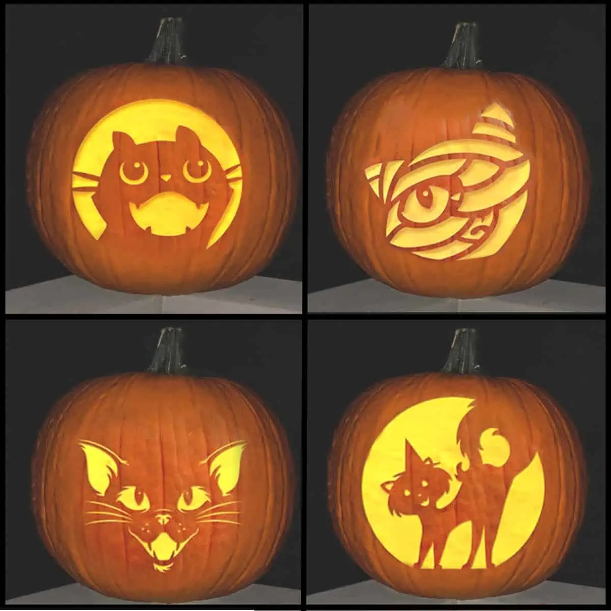 patterns for pumpkin carving