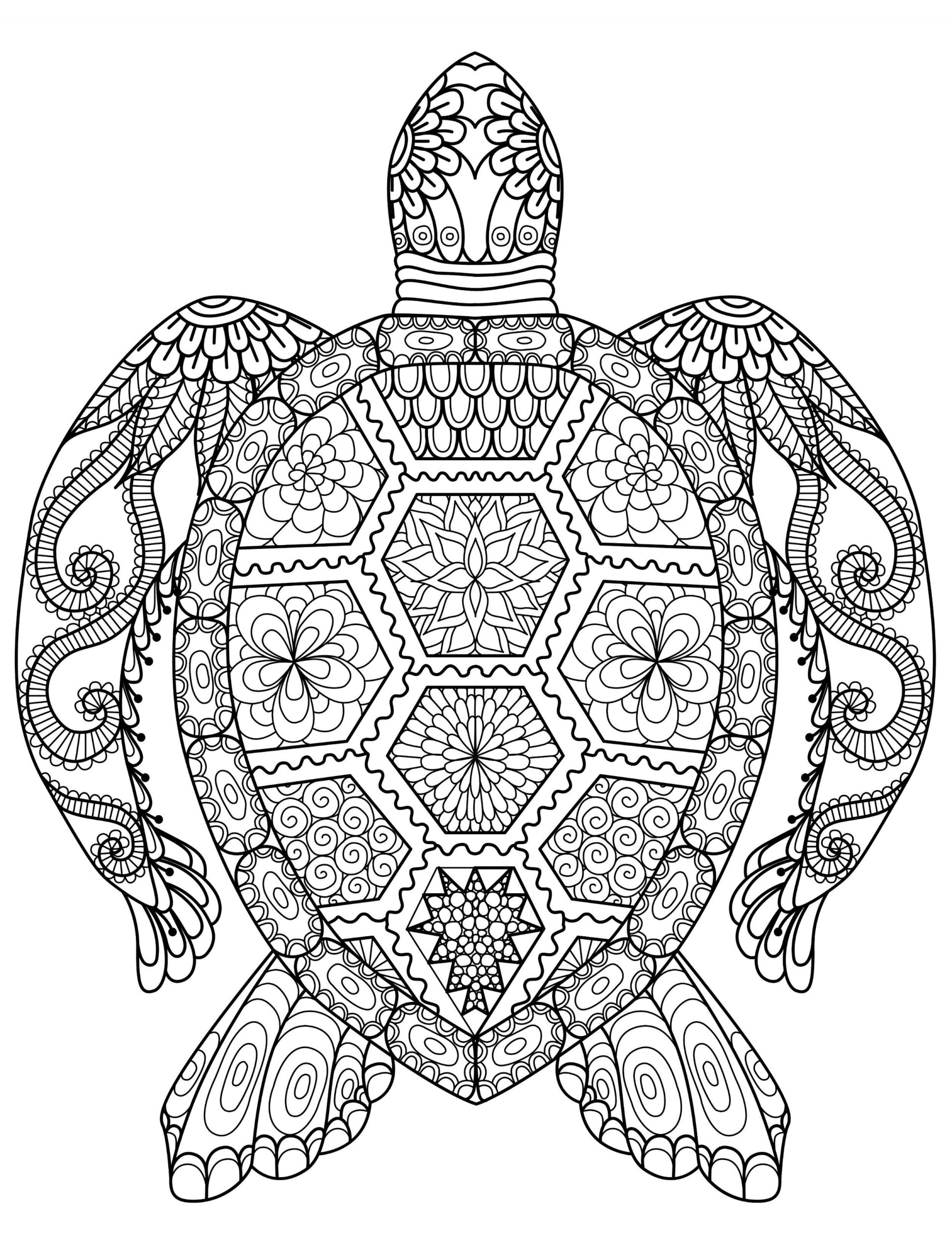 Animal Coloring Sheets For Adults