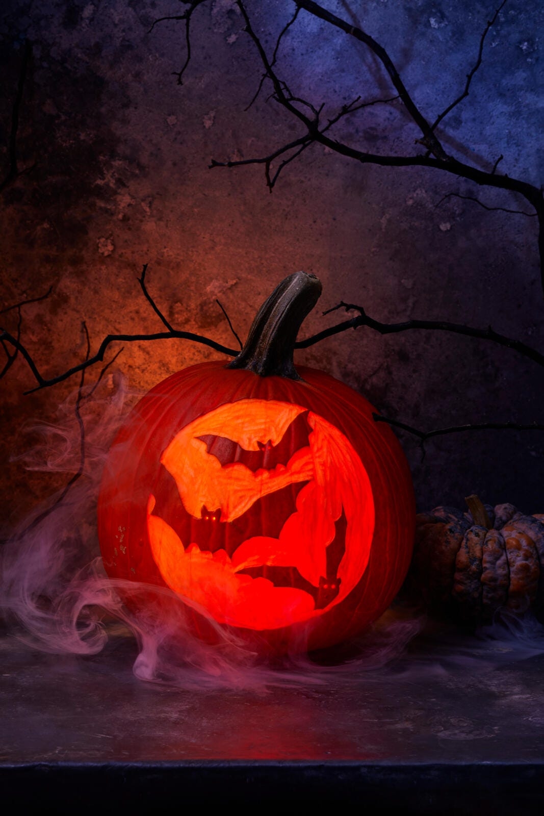 cool pumpkin carving templates cool pumpkin carving templates