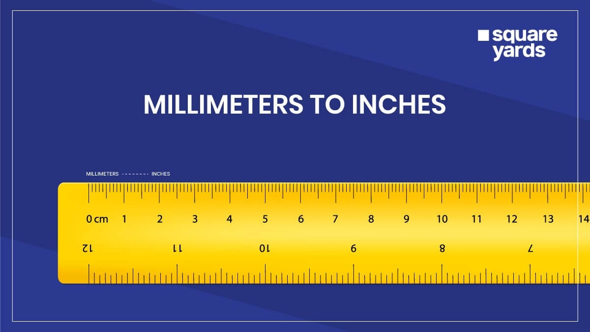 A Ruler 20 Mm In Inches Fraction Centimeters Inch By Inch In Mm To Inches Mm