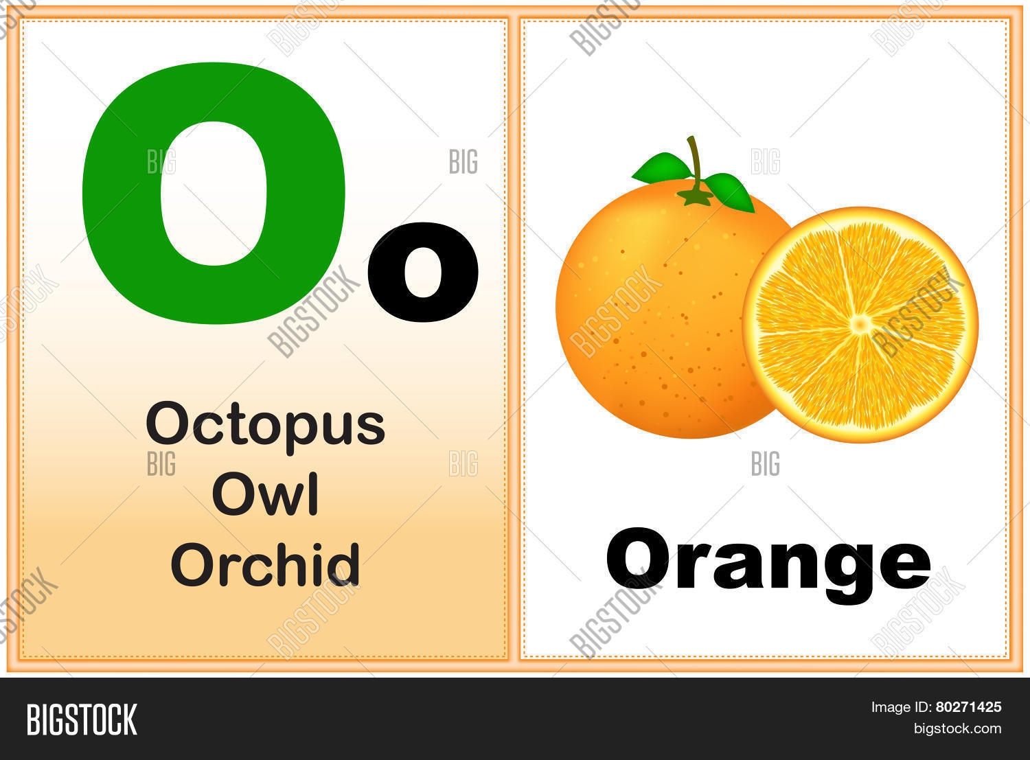 Alphabet Letter O Image Photo Free Trial Bigstock