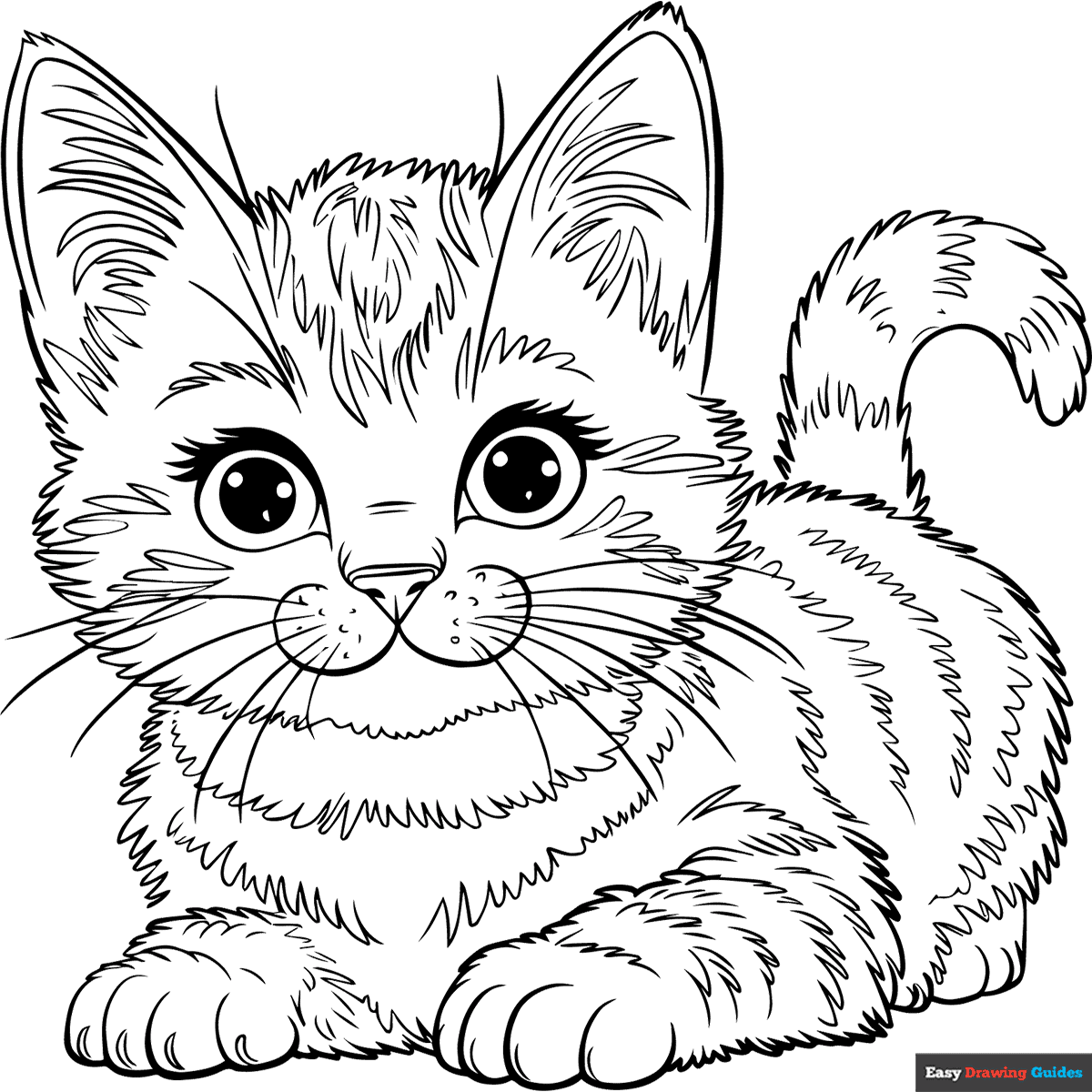 American Shorthair Kitten Coloring Page Easy Drawing Guides