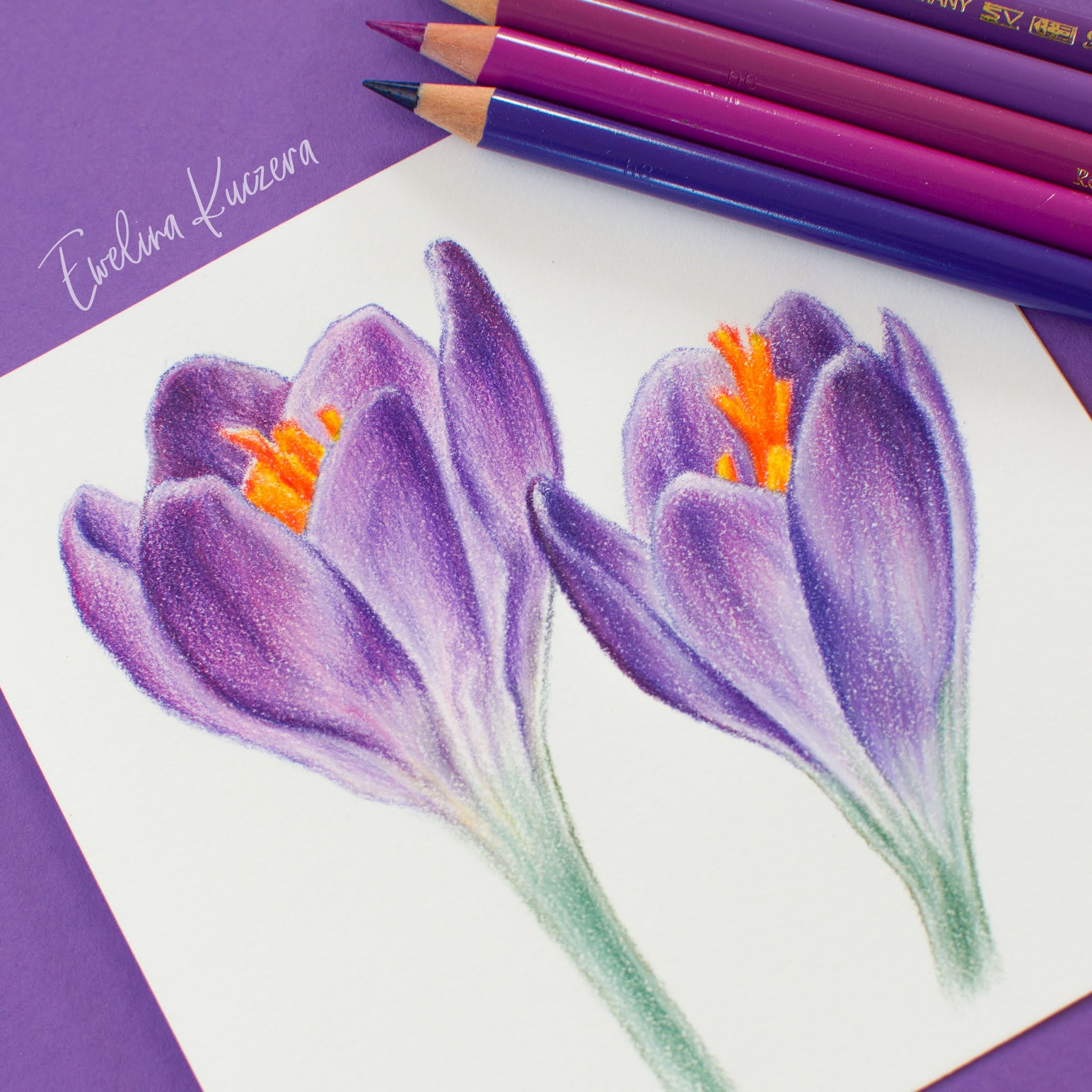 Artistic Blog Learn How To Draw With Colored Pencils How To Draw Flowers With Colored Pencils A Step By Step Tutorial