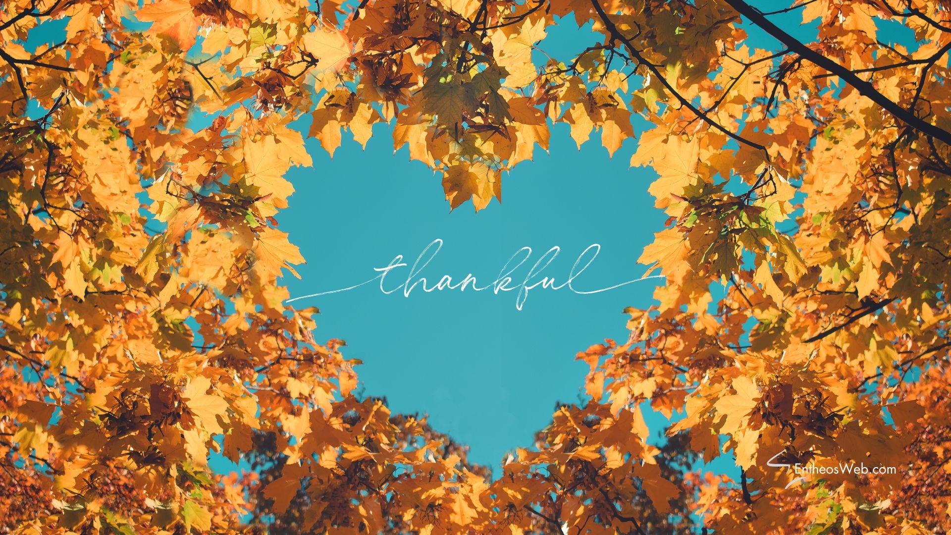 Autumn And Fall Desktop Wallpaper Backgrounds Screensavers EntheosWeb
