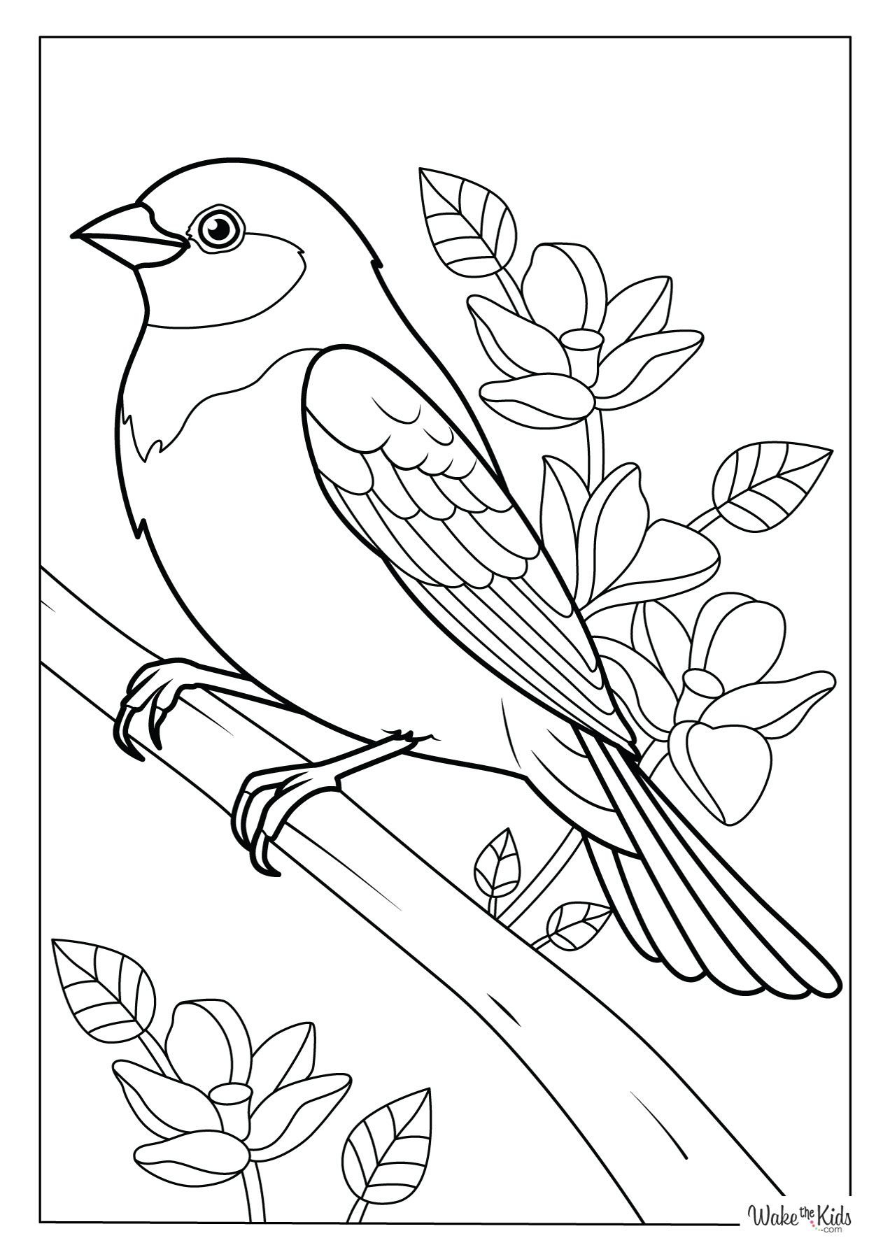 coloring pages of birds