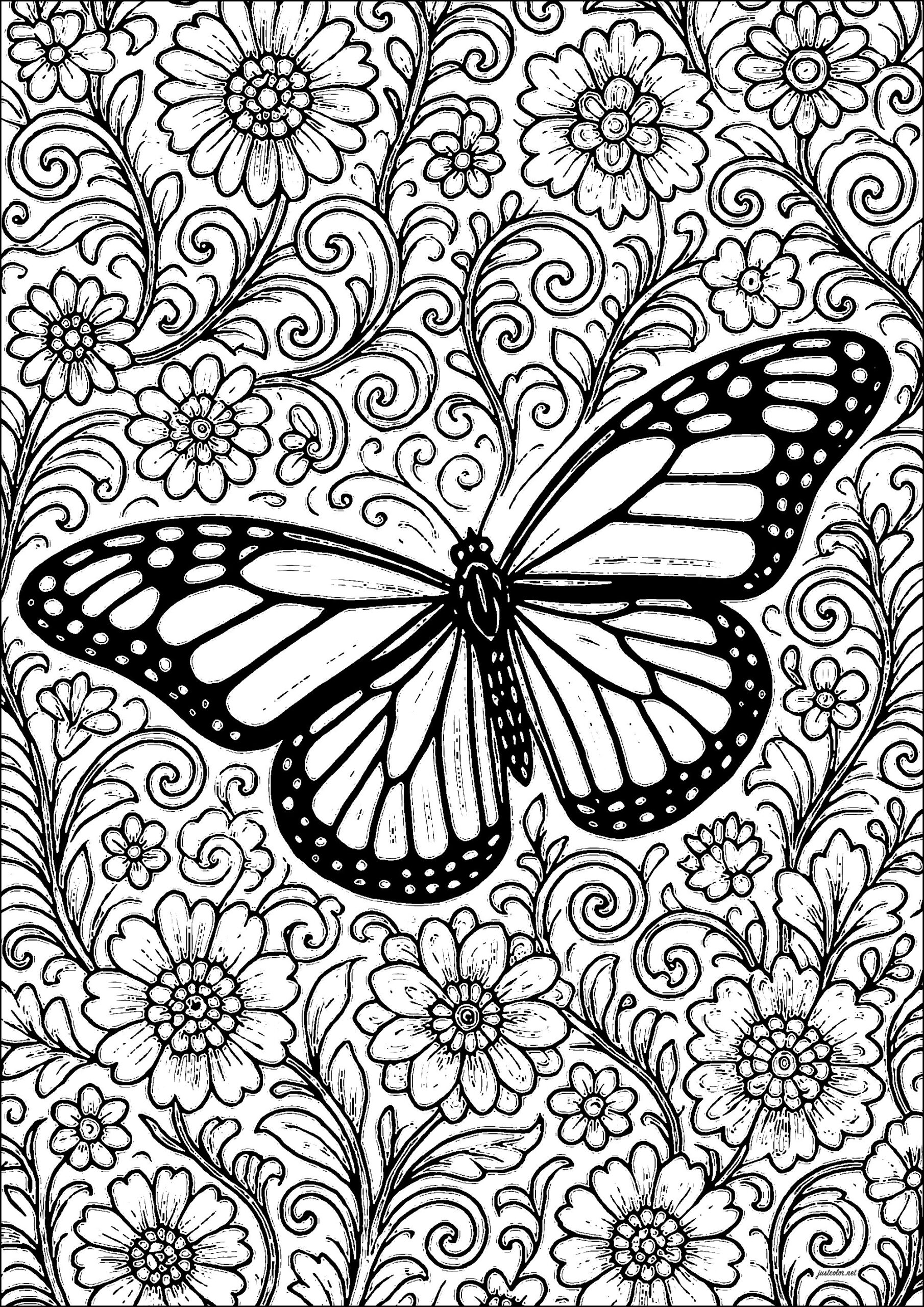 Butterfly On Floral Background Butterflies Insects Coloring Pages For Adults Butterfly On Floral Background Butterflies Insects Coloring Pages For Adults