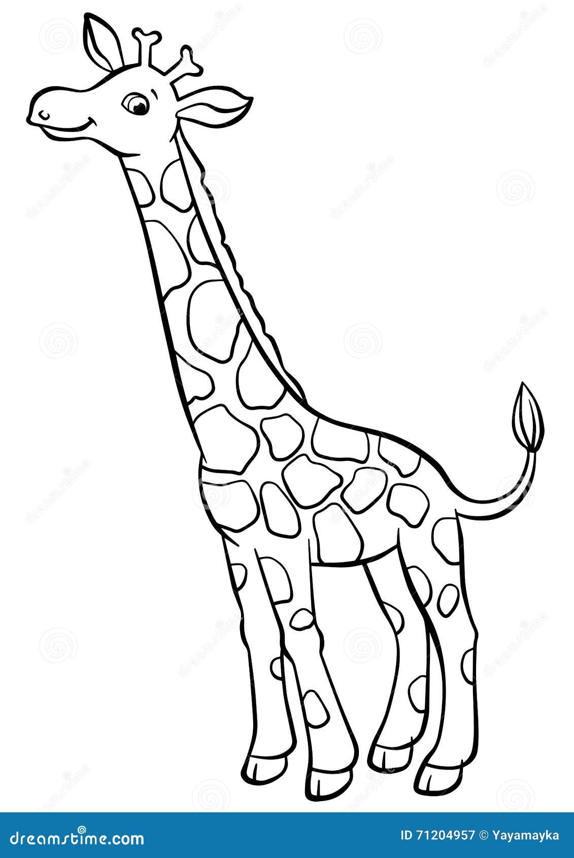 Coloring Pages Animals Little Cute Giraffe Stock Vector Illustration Of Cheerful Kindergarten 71204957