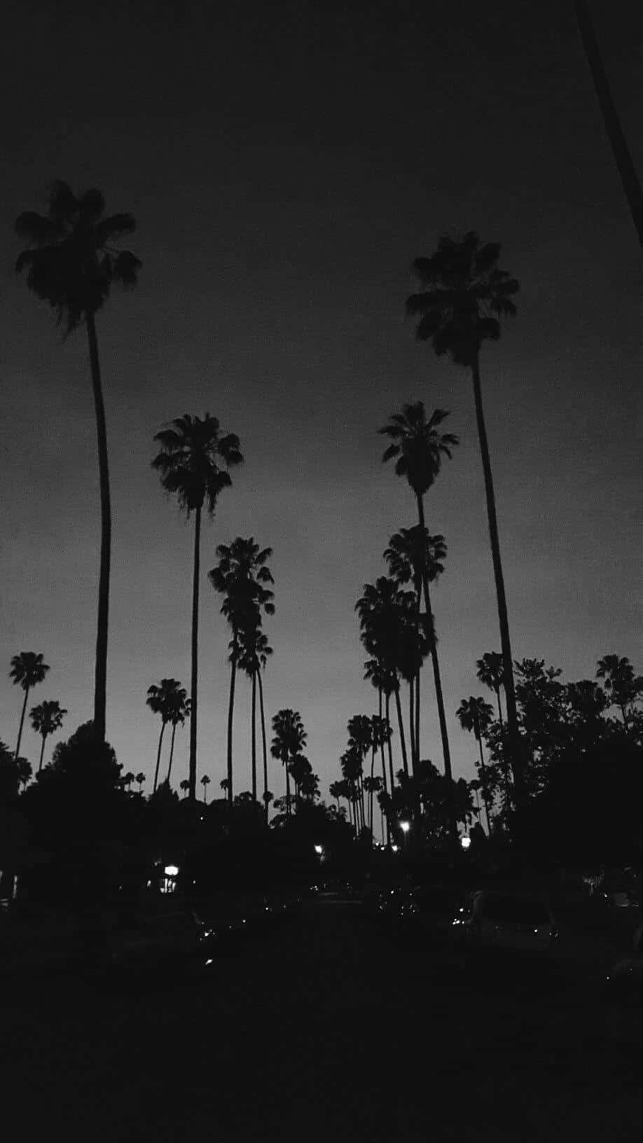 Download An Aesthetic Black And White Phone Wallpaper Wallpapers