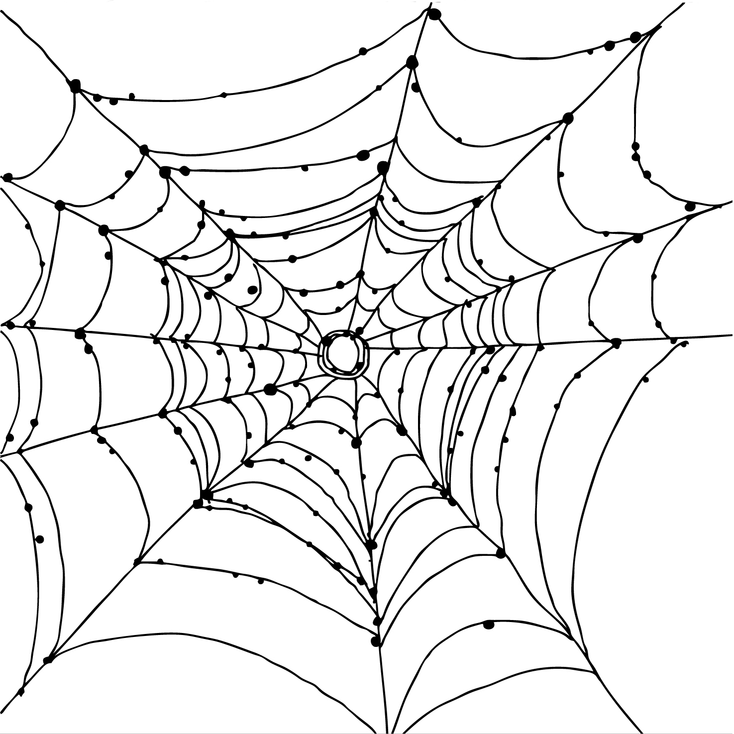 Download And Use Spider Web Clipart PNG Transparent Background Free Download 34751 FreeIconsPNG