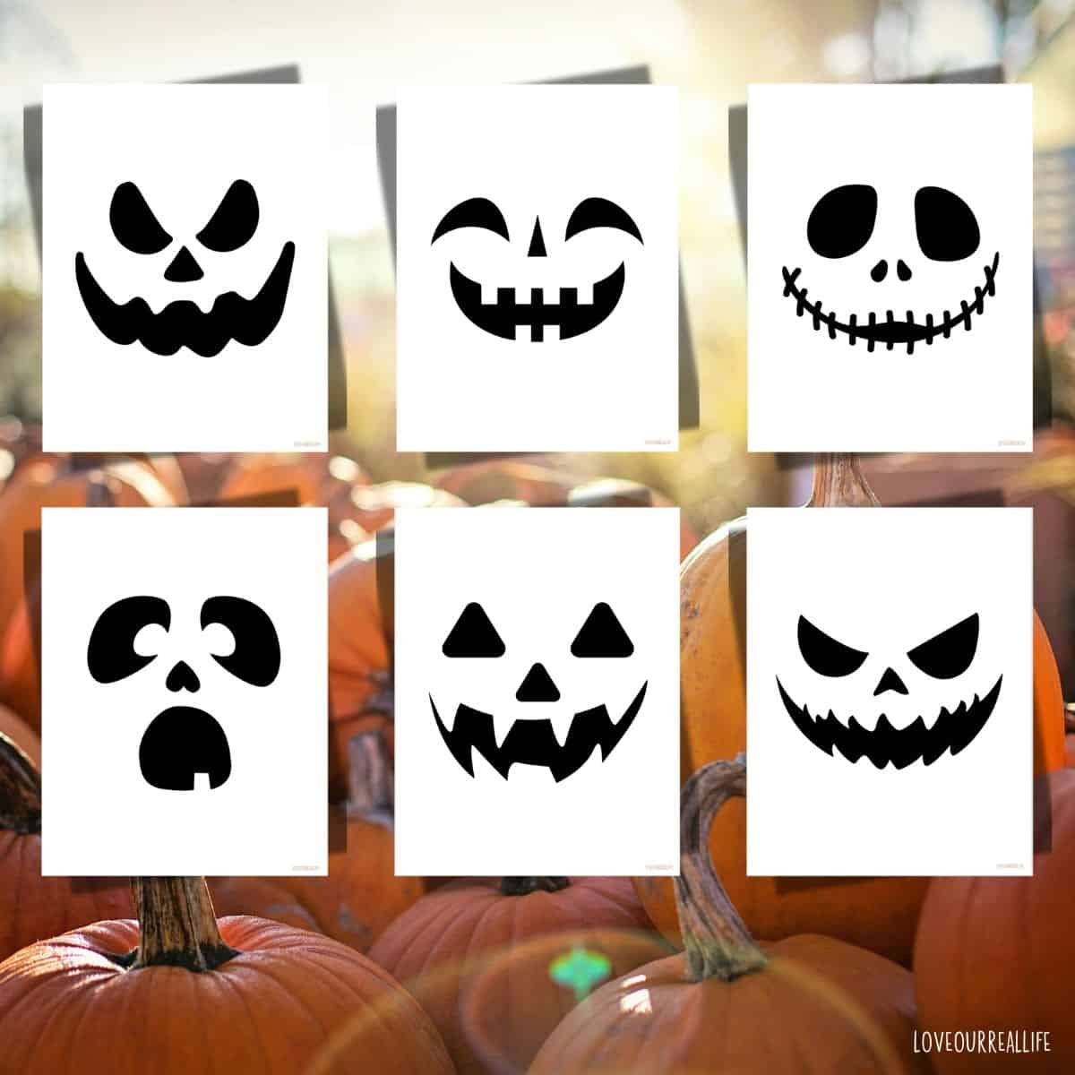 Easy Pumpkin Carving Stencils Free Jack O Lantern Faces To Download Love Our Real Life Easy Pumpkin Carving Stencils Free Jack O Lantern Faces To Download Love Our Real Life