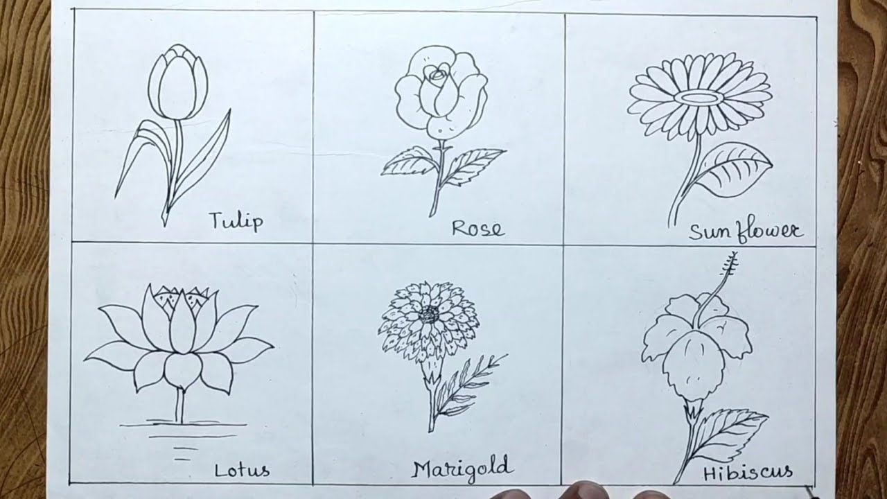 easy different types of flowers to draw easy different types of flowers to draw