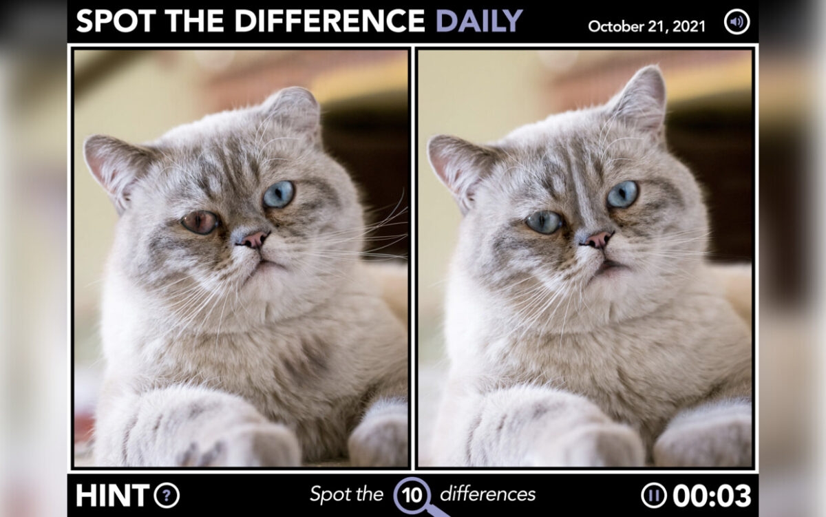 Epoch Times Spot The Difference Game Doesn t Load Browser Support Brave Community Epoch Times Spot The Difference Game Doesn t Load Browser Support Brave Community
