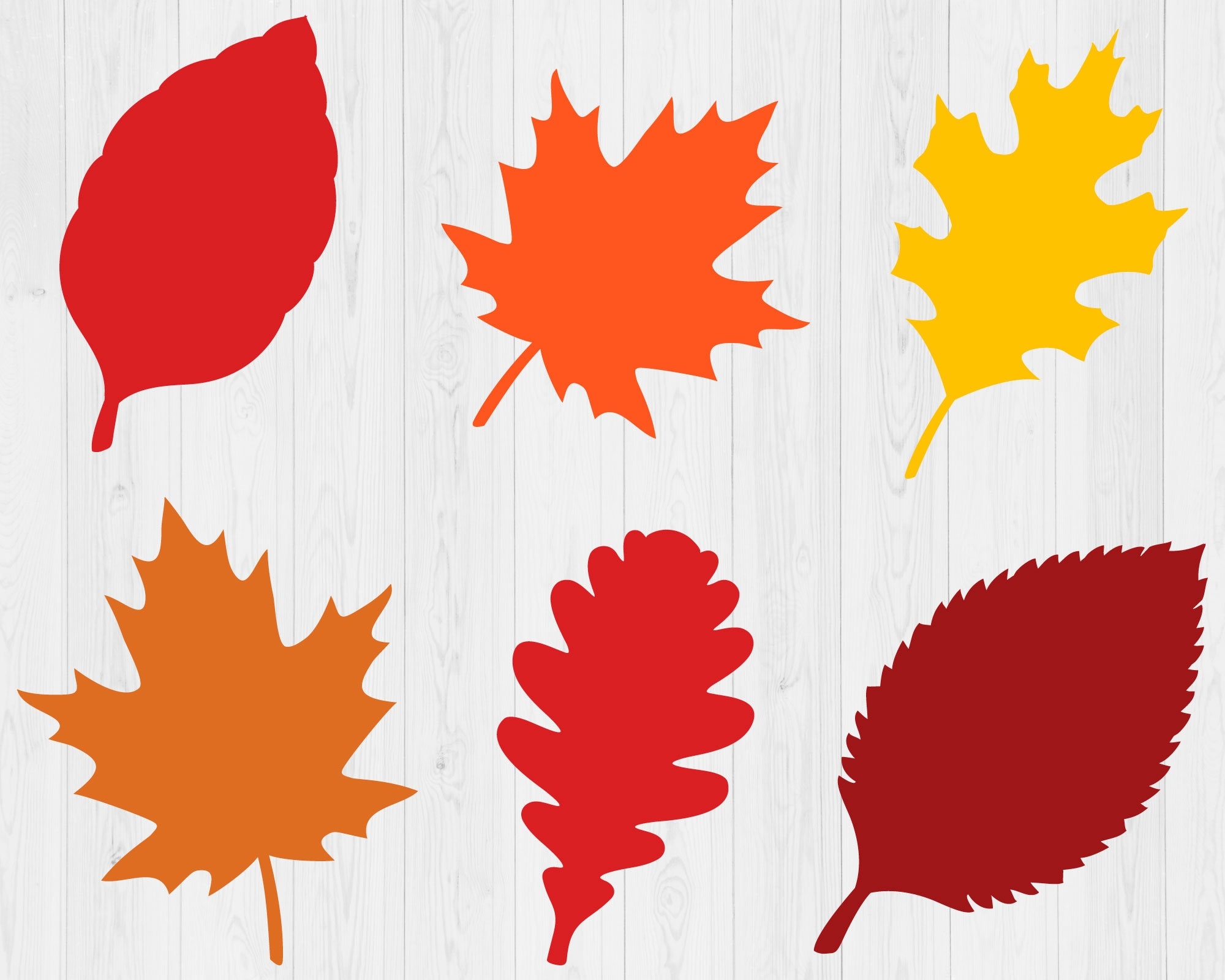 fall leaves to print fall leaves to print