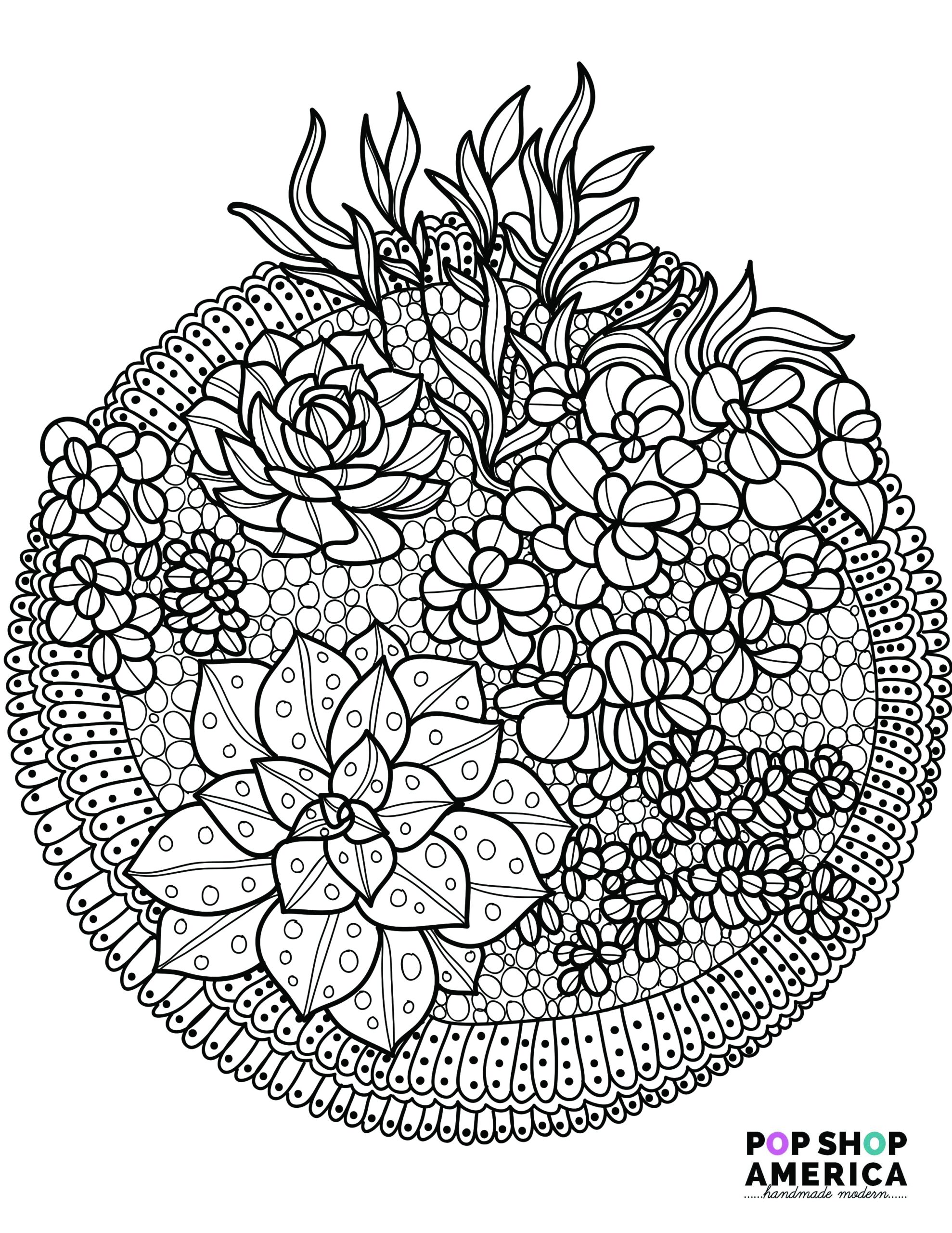 Free Adult Coloring Book Pages With Succulent Terrariums