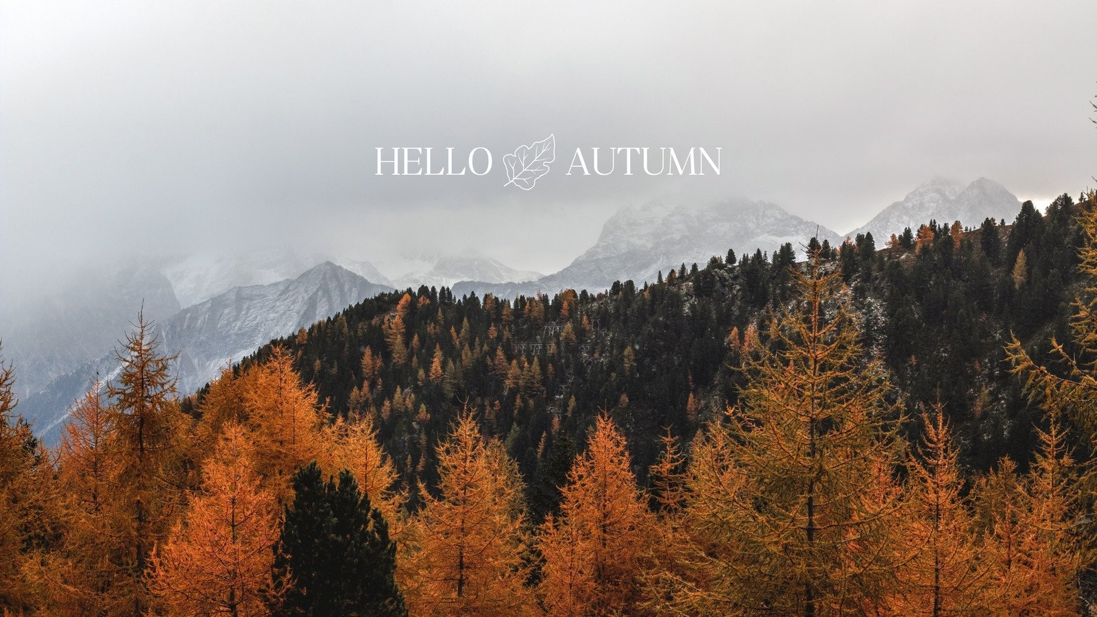 fall pictures for desktop background