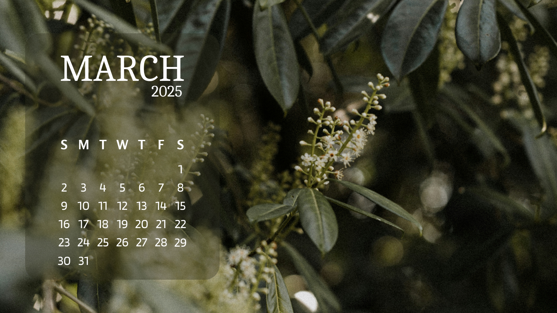 Free Desktop Backgrounds March 2025 A Dash Of Kam Free Desktop Backgrounds March 2025 A Dash Of Kam
