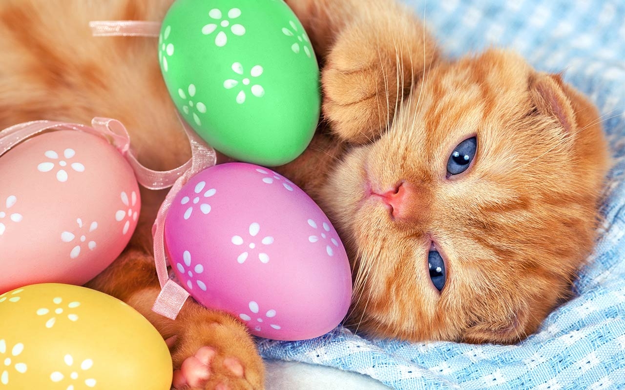 images of easter backgrounds