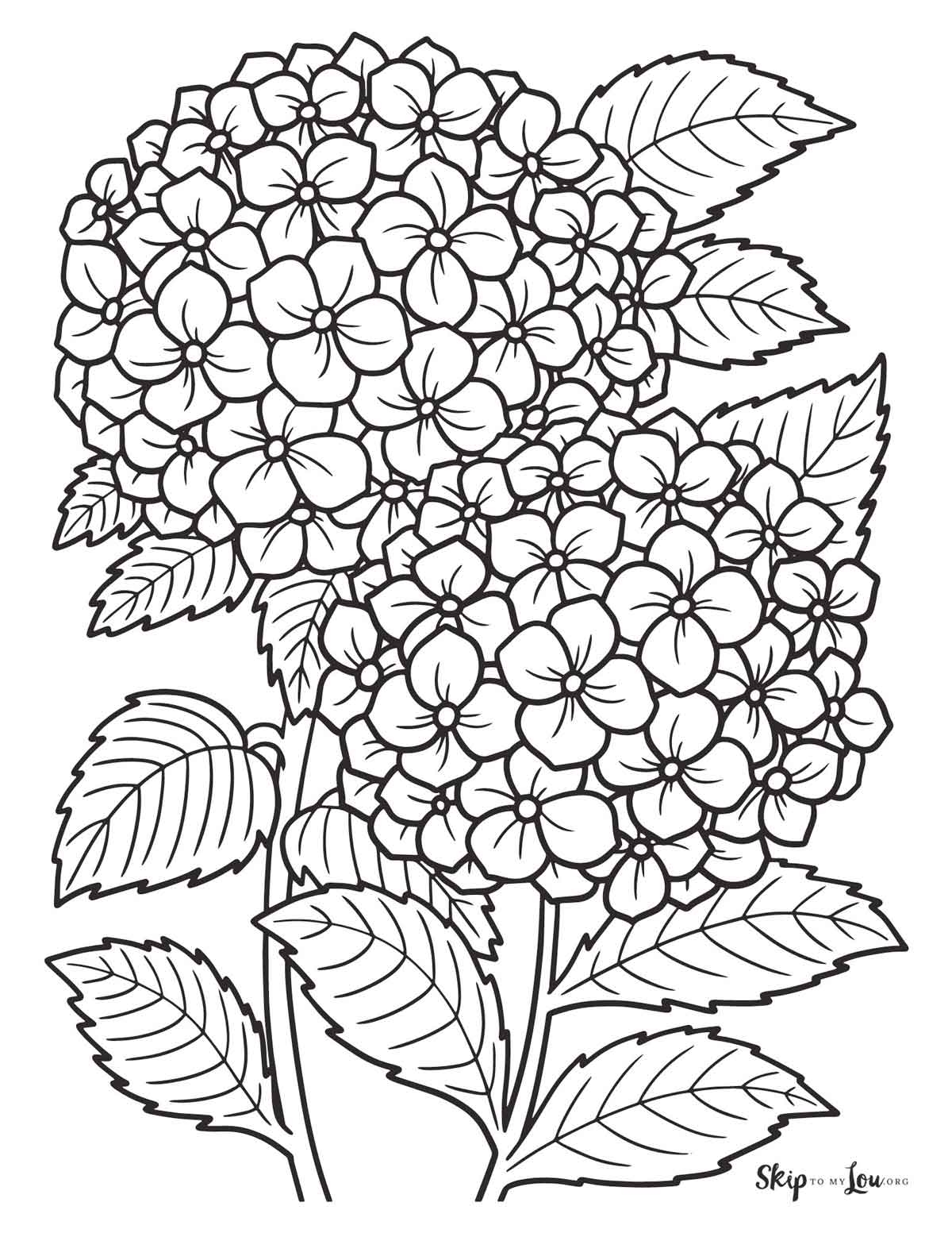 coloring pictures of flowers printable