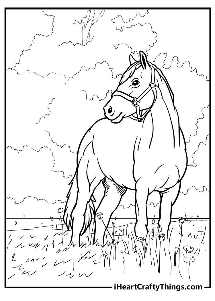 free coloring pages of horses