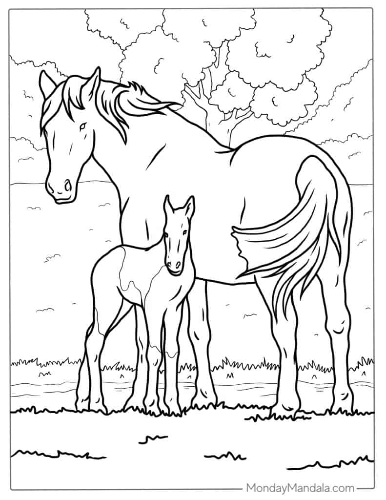 horse coloring pages for free