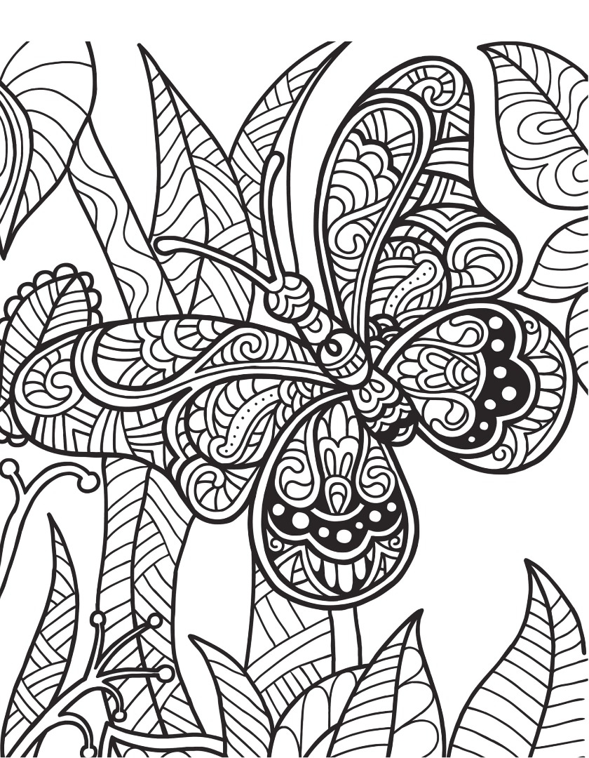 Freebie Friday Wild Animals Adult Coloring Book Freebie Friday Wild Animals Adult Coloring Book