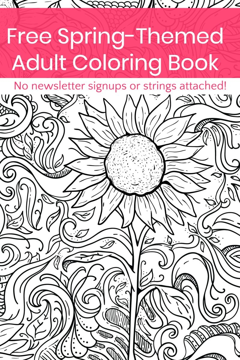 Grab This Free Printable Spring Adult Coloring Book No Strings Attached Pretty Opinionated Grab This Free Printable Spring Adult Coloring Book No Strings Attached Pretty Opinionated
